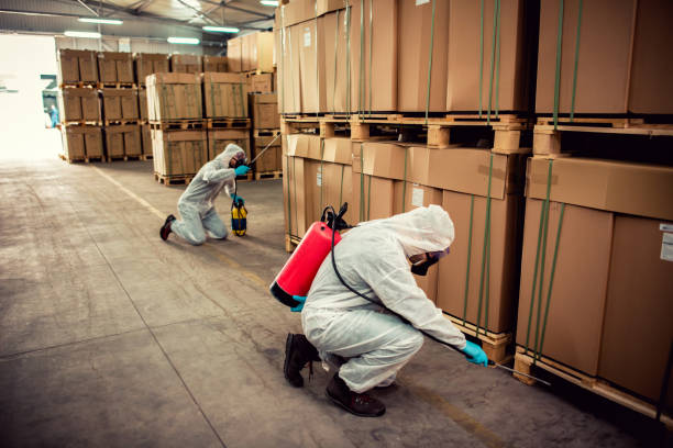 Best Flea Control Services  in Bayside, WI
