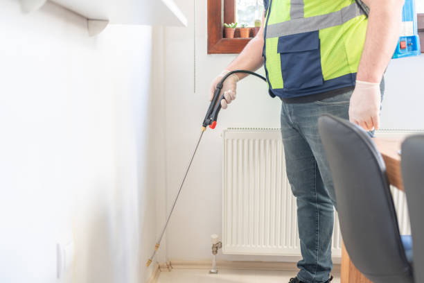 Best Local Pest Control Services  in Bayside, WI